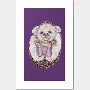 The Baby Hedgehoglet Posters and Art